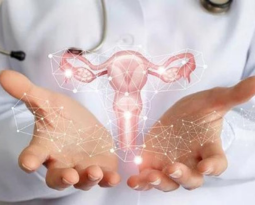 _Women’s health & shared obstetric care