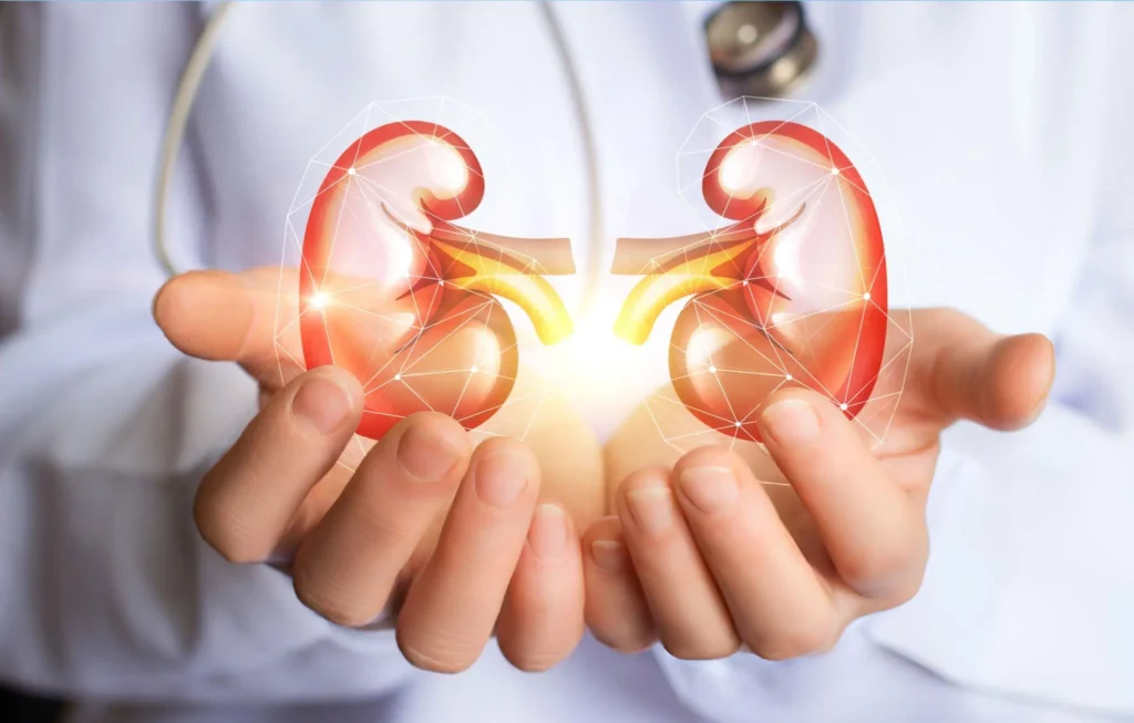 Kidney Care