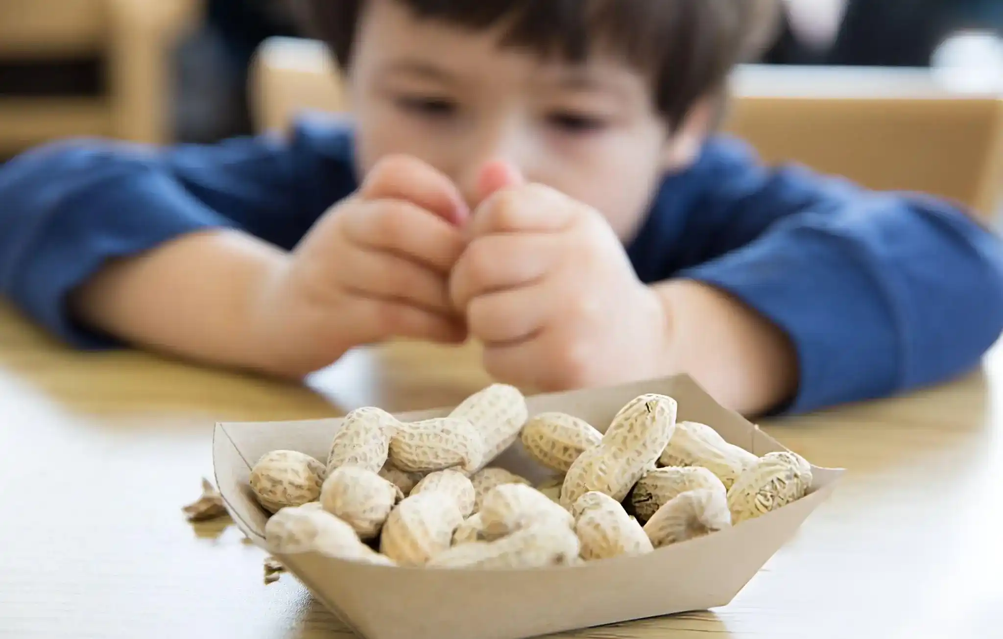 What Component of Food Causes an Allergic Reaction