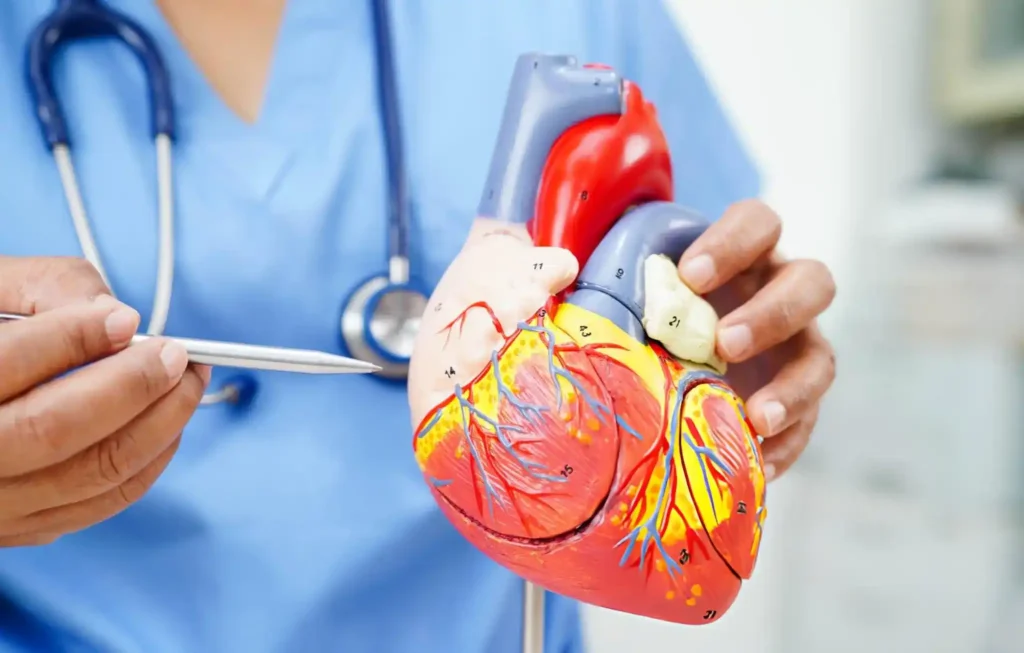 Absolute Cardiovascular Risk